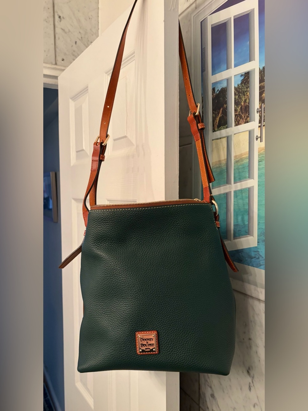 Dooney & Bourke green leather bag